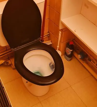 En Face De La Cathedrale Saint Pierre Nantes