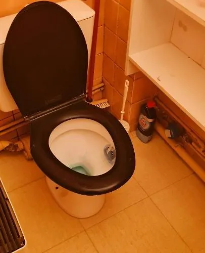 En Face De La Cathédrale Saint Pierre Nantes